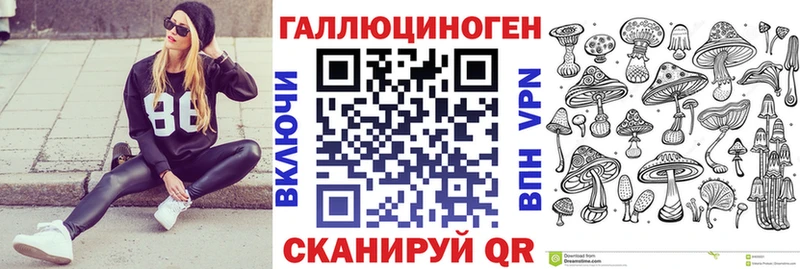 Галлюциногенные грибы Psilocybe  Сольцы 